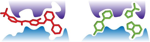 Side-by-side schematic of a red molecular structure binding a blue and purple site on the left hand side, while multiple green molecular structures bind in different ways within the same pockets on the right hand side. Side-by-side schematic of a red molecular structure binding a blue and purple site on the left hand side, while multiple green molecular structures bind in different ways within the same pockets on the right hand side.