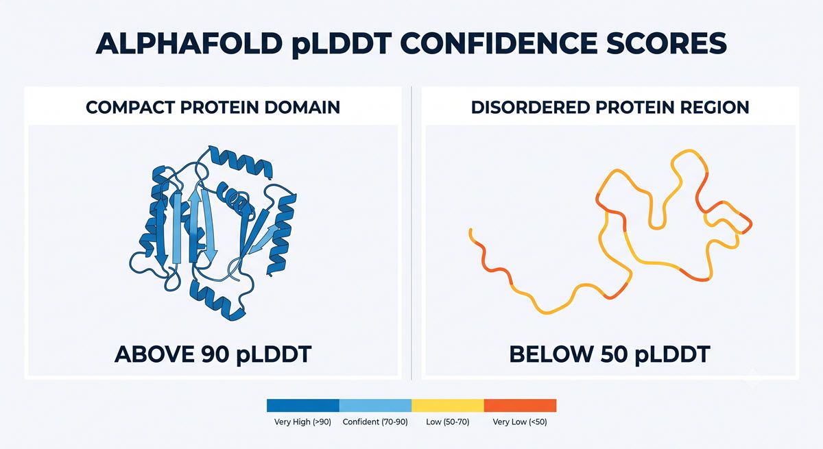 AI-generated comparison of high- and low-confidence pLDDT protein structure regions.