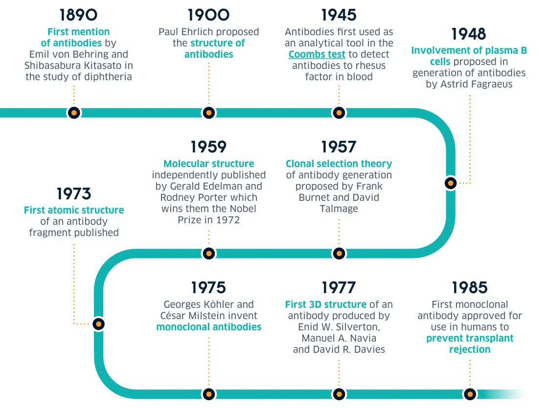 Timeline of antibody discovery and therapeutic development from 1890–1985. Timeline of antibody discovery and therapeutic development from 1890–1985.