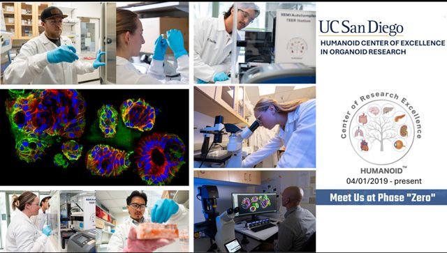 Figure 1: UC San Diego HUMANOID’s scientists at work. Montage of images showing organoids and scientists at work in the lab along with HUMANOID's logo
