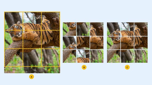 A picture of a tiger laying in a tree in three panels divided into squares with the sections of the middle image muddled up.