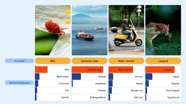 Four images (mite, container ship, motor scooter and leopard) and bar charts representing the guesses made as to their identity by network predictions.
