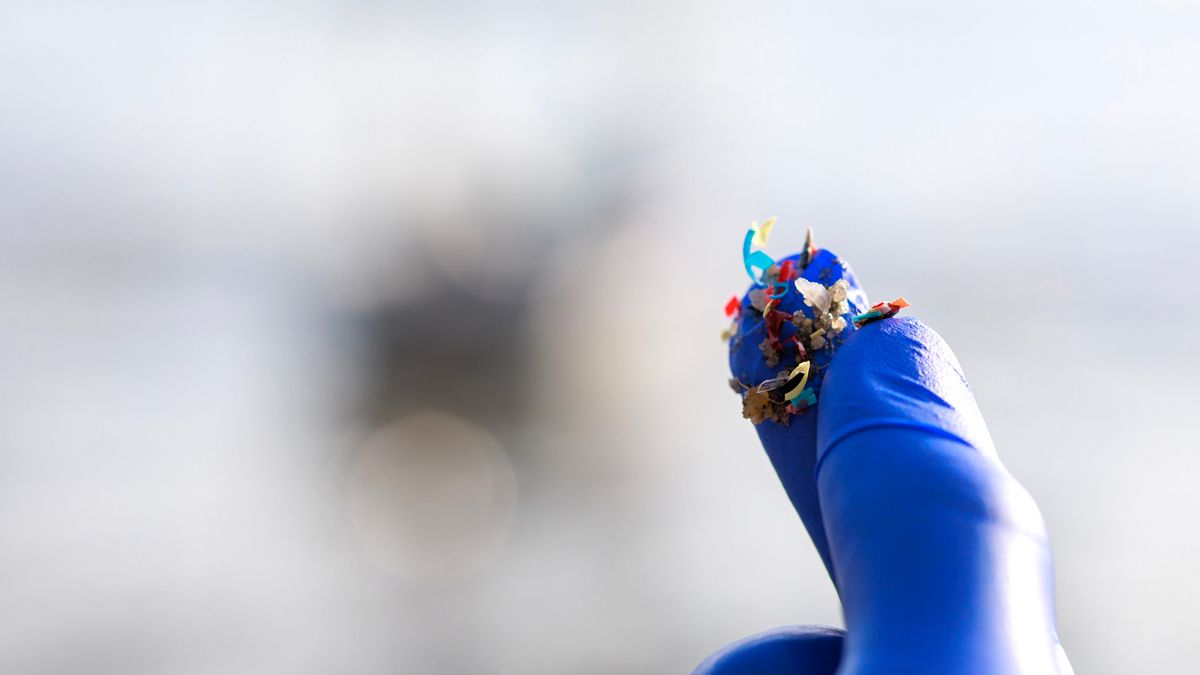 A close up of a gloved hand holding a selection of different microplastics.