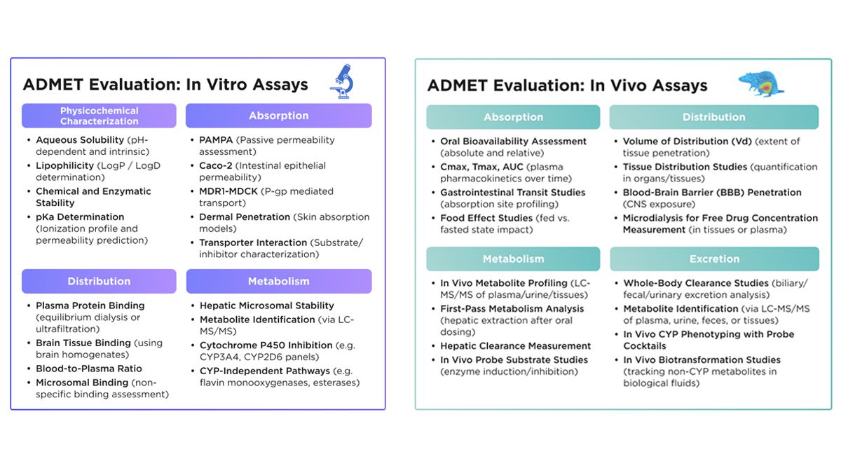 Figure 1: Overview of the standard in vitro and in vivo ADME assays used to evaluate a drug’s absorption, distribution, metabolism and excretion properties during preclinical development. A comparison of in vivo versus in vitro ADMET evaluation and the types of studies involved in each.