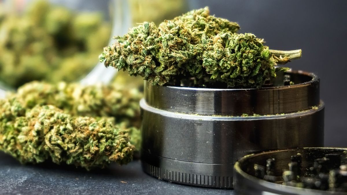 Dried marijuana on top of a weed grinder before being smoked in a bong.