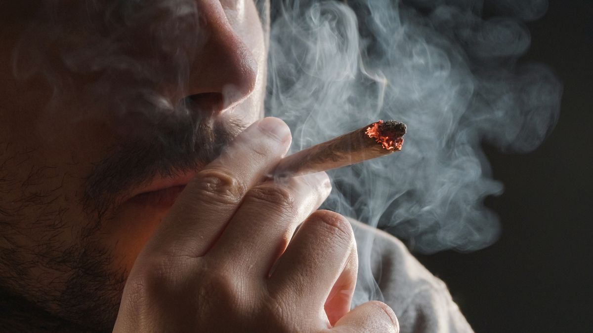does tobacco smell more than weed Why Does Marijuana Smell Like Skunk? Cannabis Odor Science does tobacco smell more than weed Why Does Marijuana Smell Like Skunk? Cannabis Odor Science