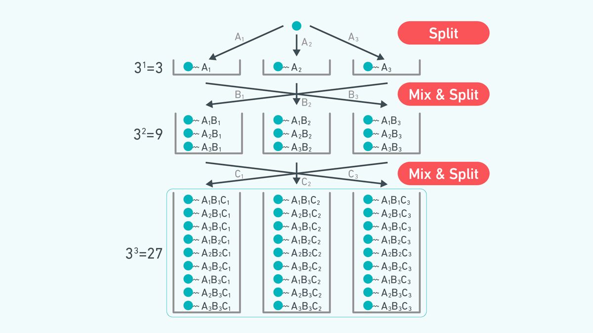 Figure 1. A typical example of mix-split libraries. Credit: Technology Networks. A diagram showing the process of creating a mix-split library.