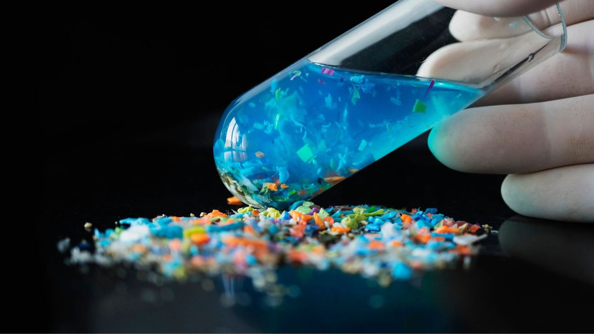 Do Glass Bottles Have Microplastics? Beverage Study Insights ...