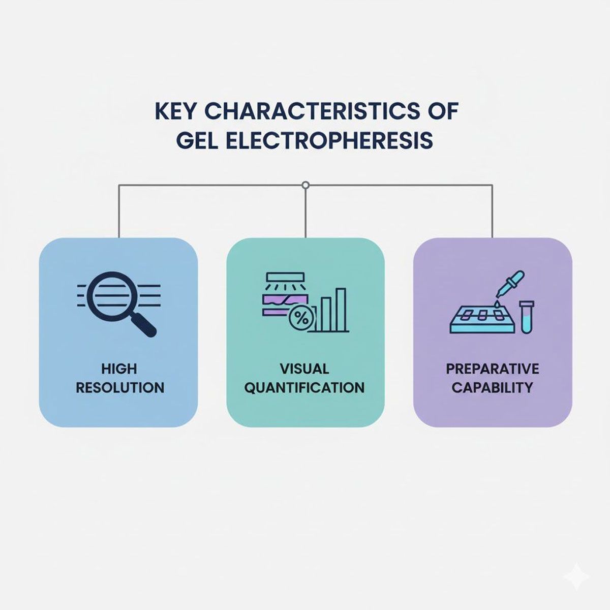 Key characteristics of gel electrophoresis. Credit: AI-generated image created using Google Gemini (2025). AI-generated infographic describing the key characteristics of gel electrophoresis.