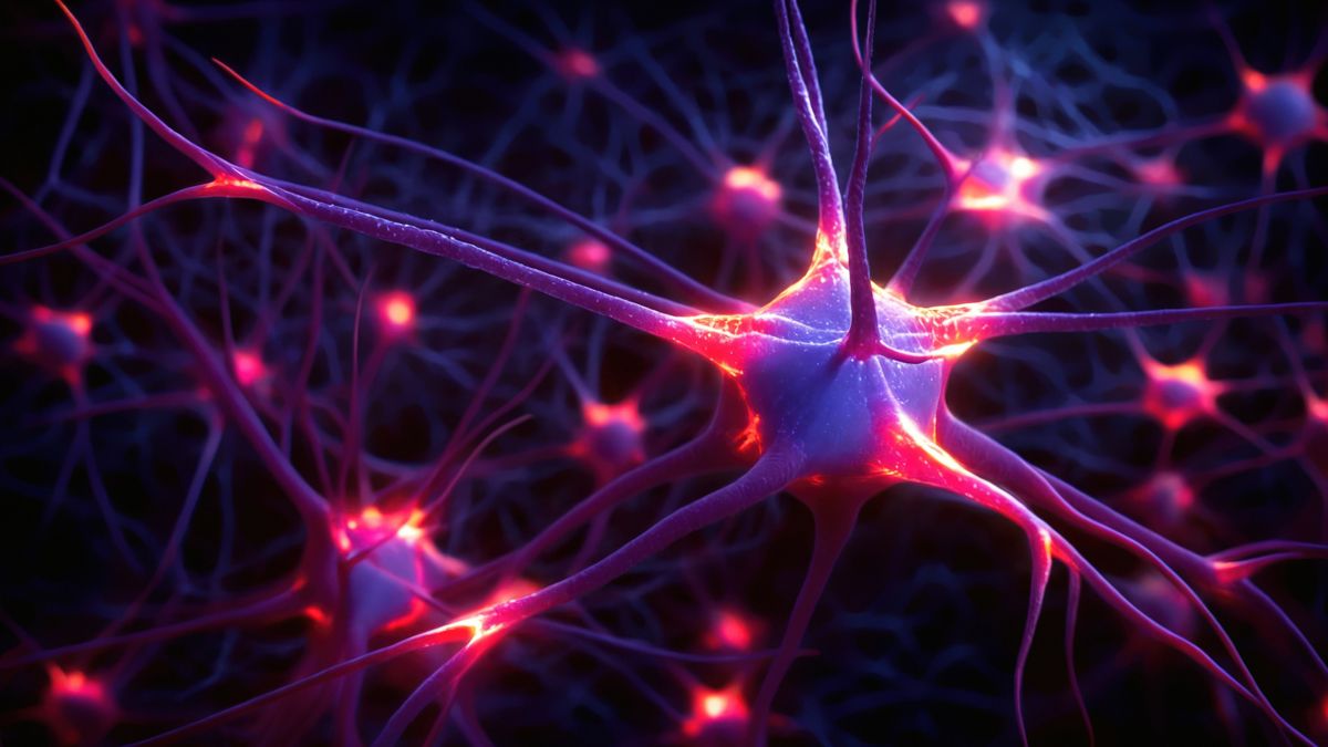 Neurons in blue with a pink glow representing the firing of signals to the brain.