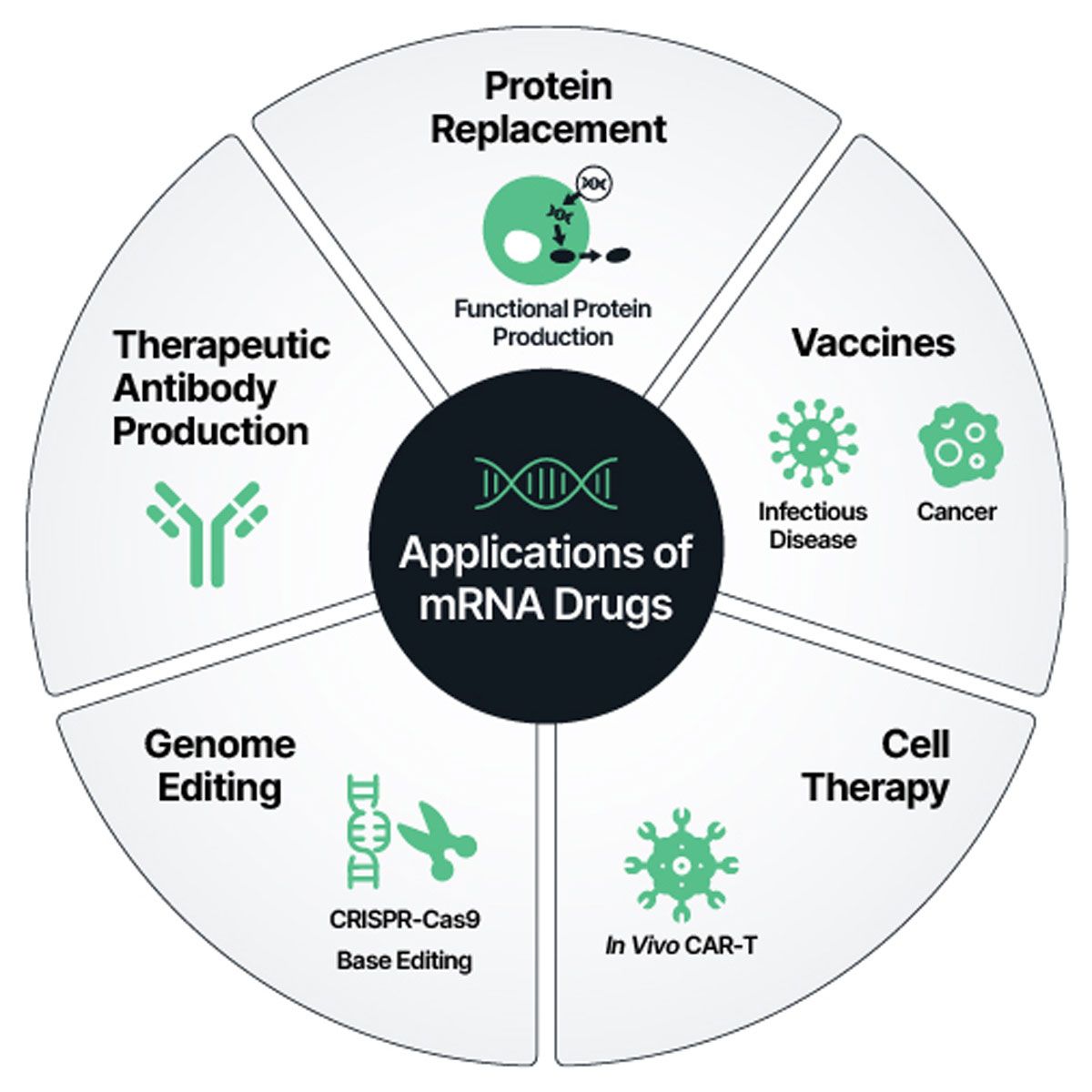 An infographic highlighting the various applications of mRNA drugs.