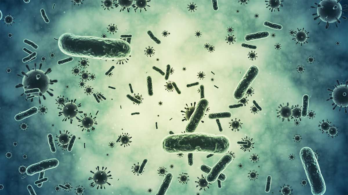 Various bacteria and viruses against a green backdrop.