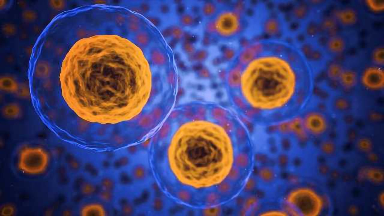Adoption of Three Dimensional Culture Models May Save Lives