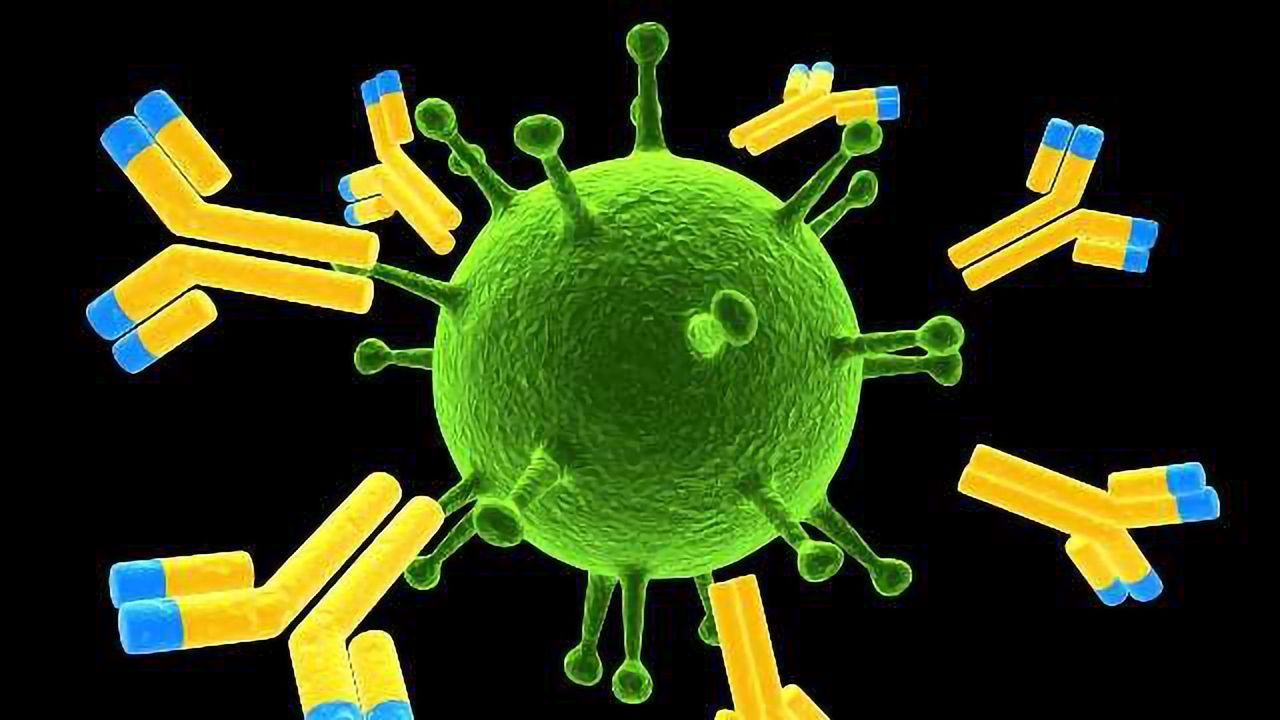 Shedding Light on HIV Vaccine Design