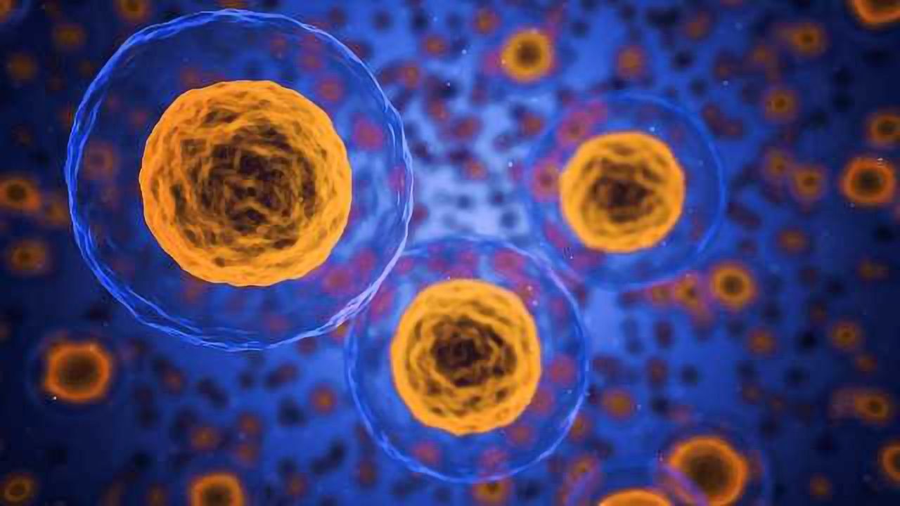 Unravelling the Role of Key Genes and DNA Methylation in Blood Cell Malignancies