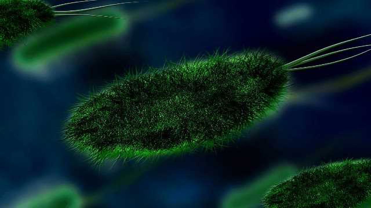Biological Link Between Gut Microbiome and Parkinson’s Disease