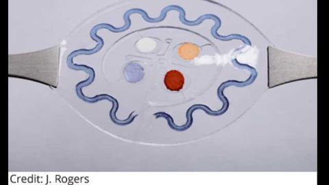 'Lab on the Skin' for Sweat Analysis