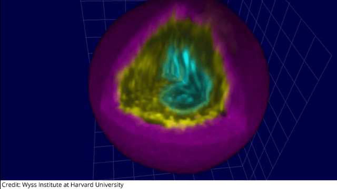 Making Every Cell Matter