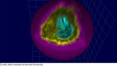Making Every Cell Matter