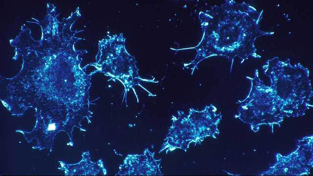 Metabolite Promotes Cancer Cell Transformation