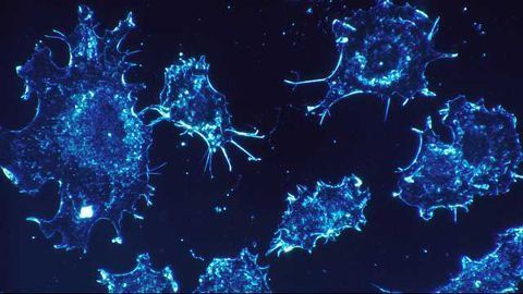 Metabolite Promotes Cancer Cell Transformation