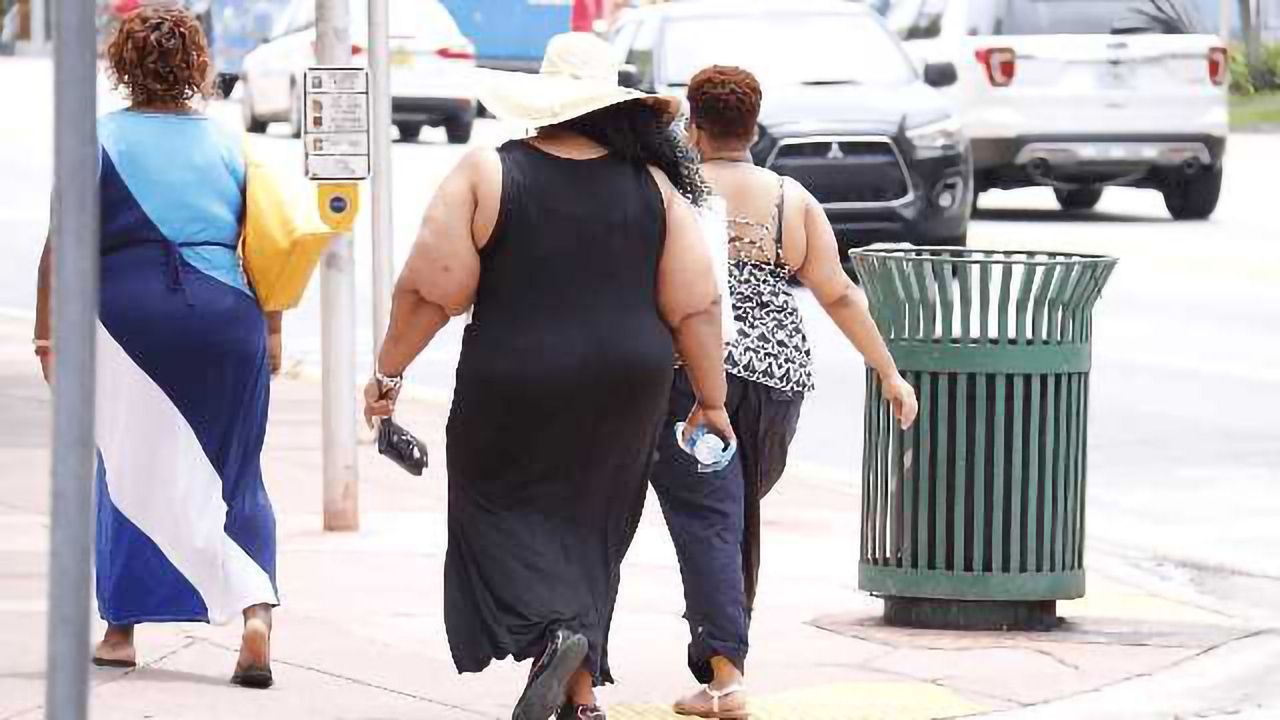 Pasteurised Bacterium Reduces Obesity and Diabetes