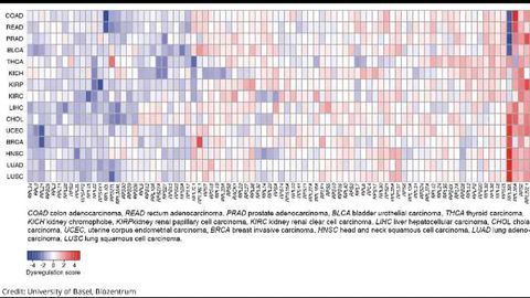 Protein-Based “Cancer Signature” Uncovered