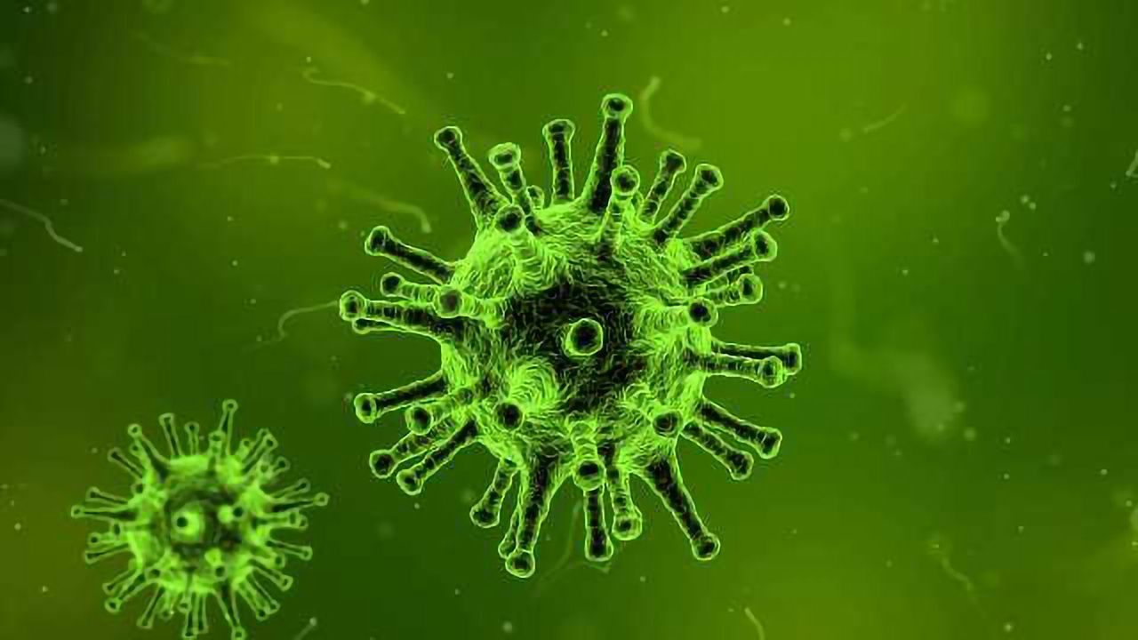 RNAi Activated in Response to Influenza