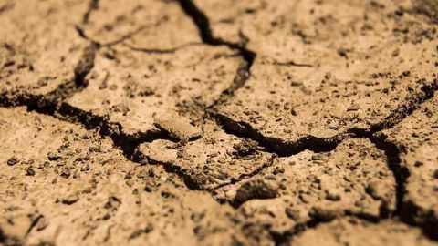 Soil Carbon Release Might Equal U.S. Emissions