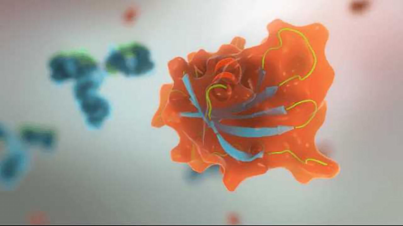 Avacta, MSK Announces CAR-T Cell Therapy Research Collaboration