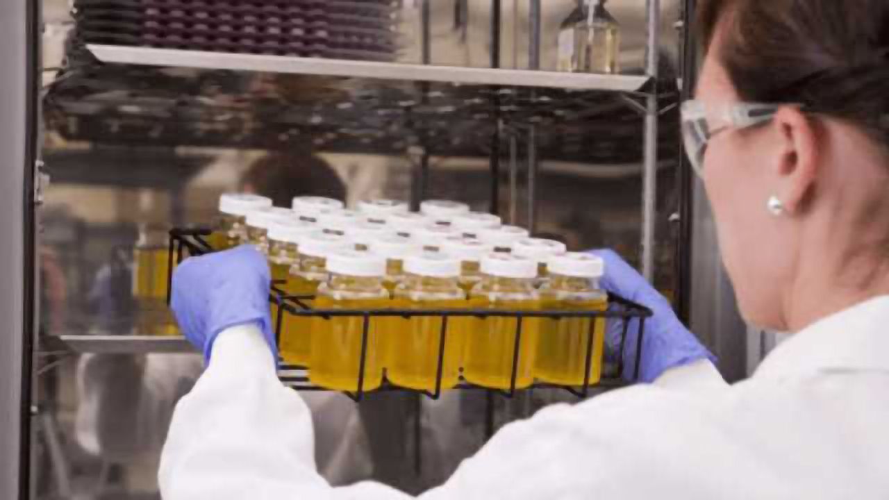 IDEXX Introduces Colilert-18 / Quanti-Tray