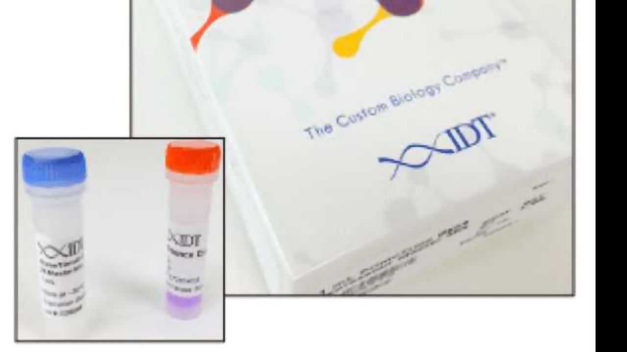 IDT Launches Revolutionary qPCR Master Mix