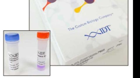 IDT Launches Revolutionary qPCR Master Mix