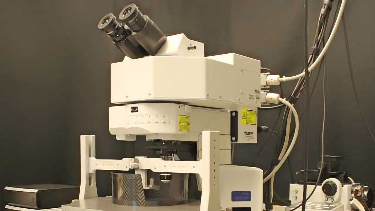 Novel In-vivo Imaging Solution for Neuroscientists