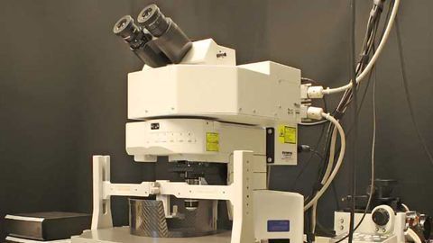 Novel In-vivo Imaging Solution for Neuroscientists
