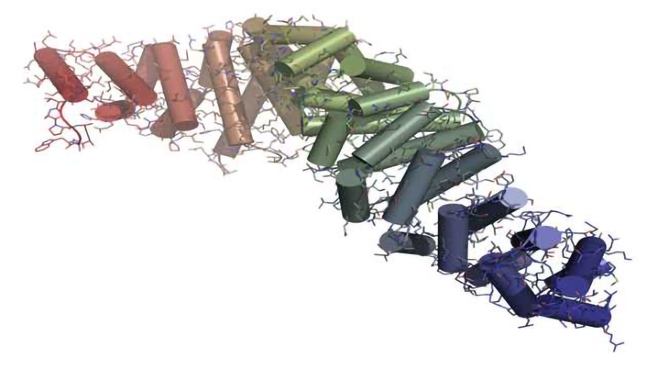 Research Products for Wnt Signalling Pathway Investigations