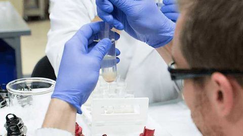 Sekisui XenoTech Introduces Lysosomal Test Systems for Biopharmaceutical Development