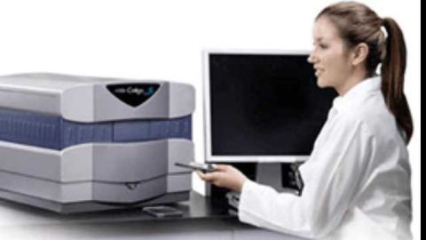 Celigo S Cell Imaging Cytometer