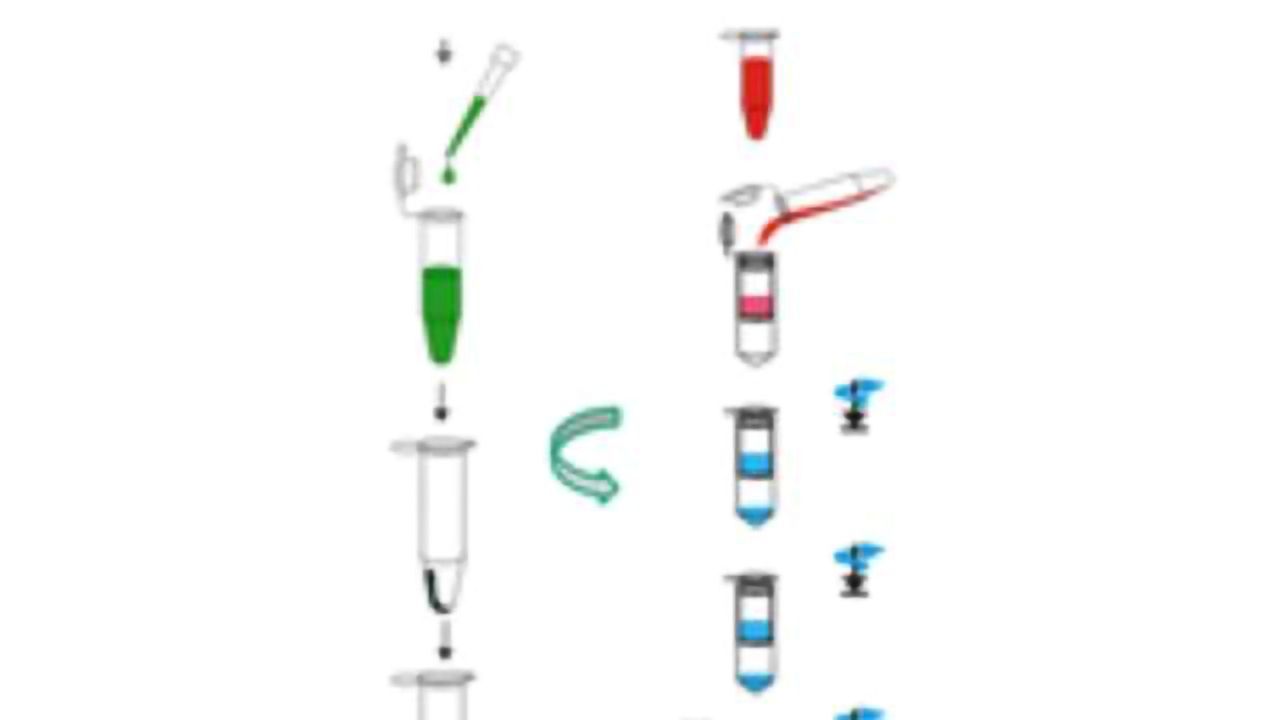 Novel Technology for Enrichment of Cell-free Biomolecules and Size Fractionation of ccfDNA