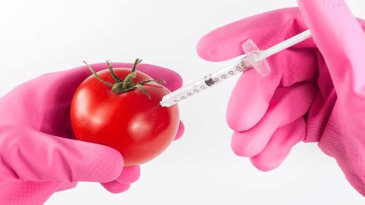 Complete Solutions for Efficient Food Analysis