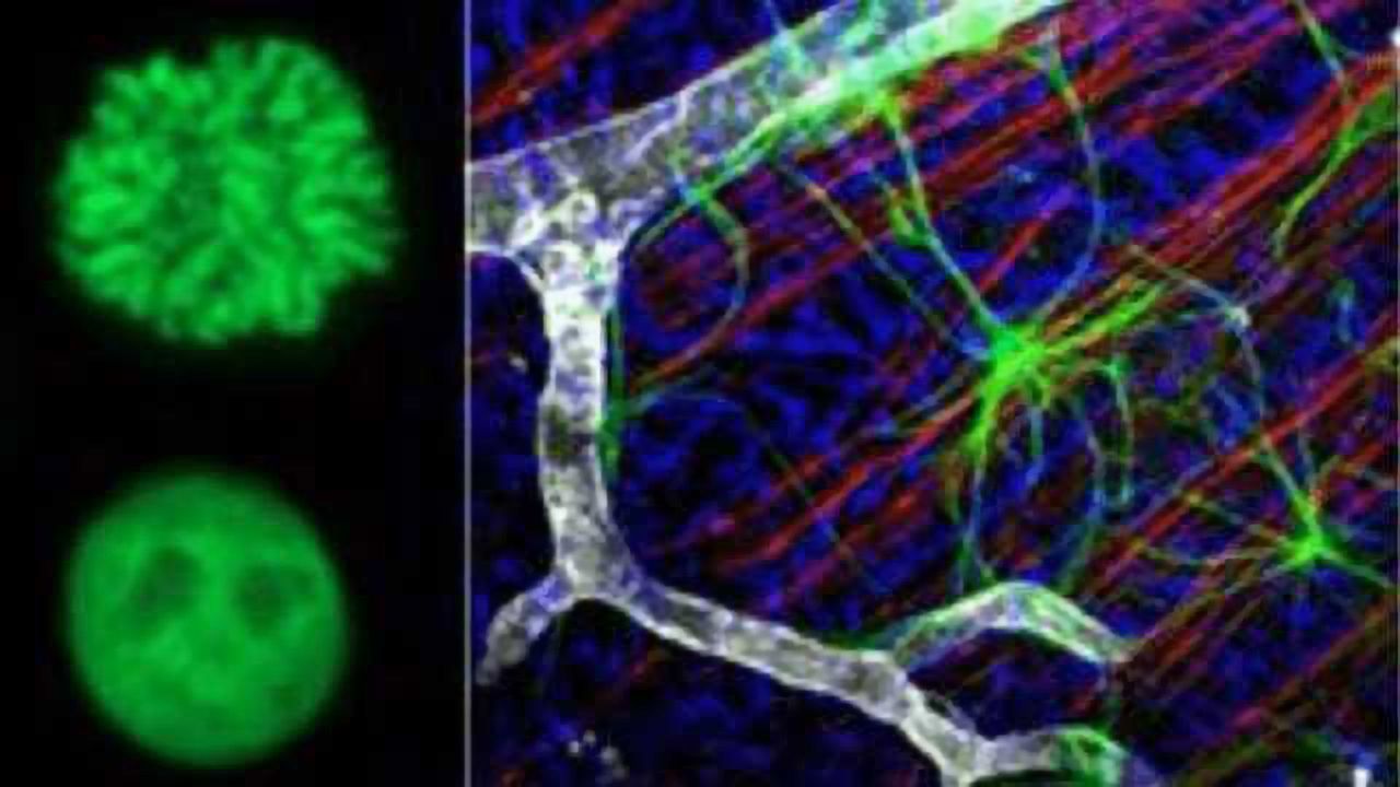 Making Nanoscale Submarines Useful