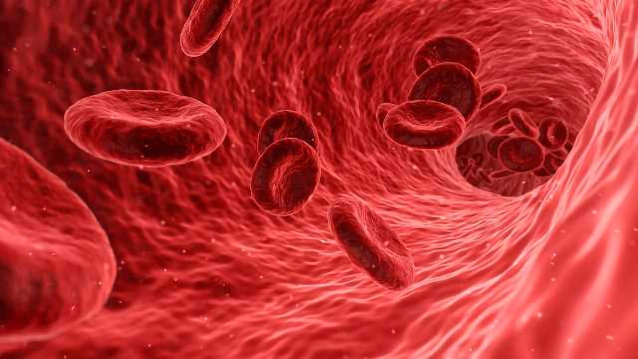 New Device for Circulating Tumor Cells Separation