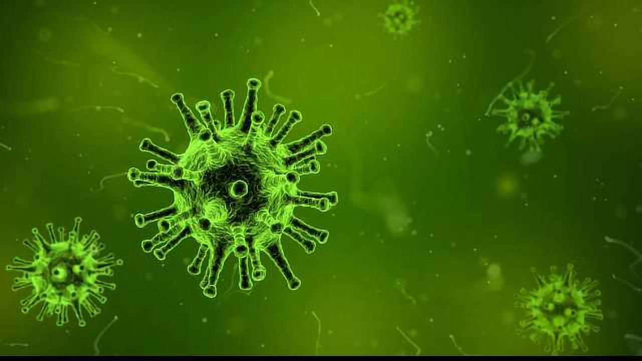 New Study Reveals Structure of Zika Virus for First Time