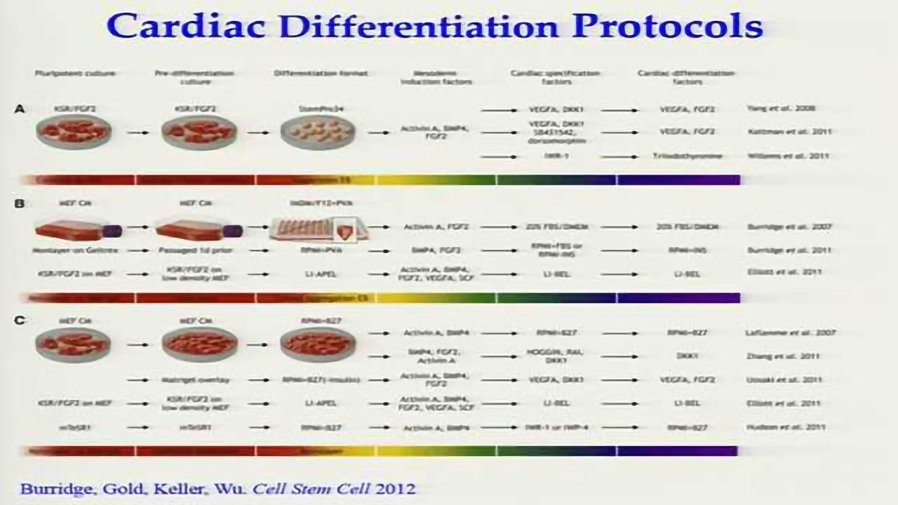 Cardiac iPSCs for Drug Discovery
