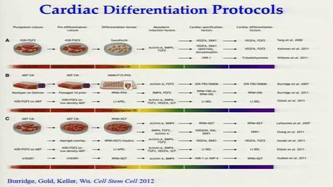 Cardiac iPSCs for Drug Discovery