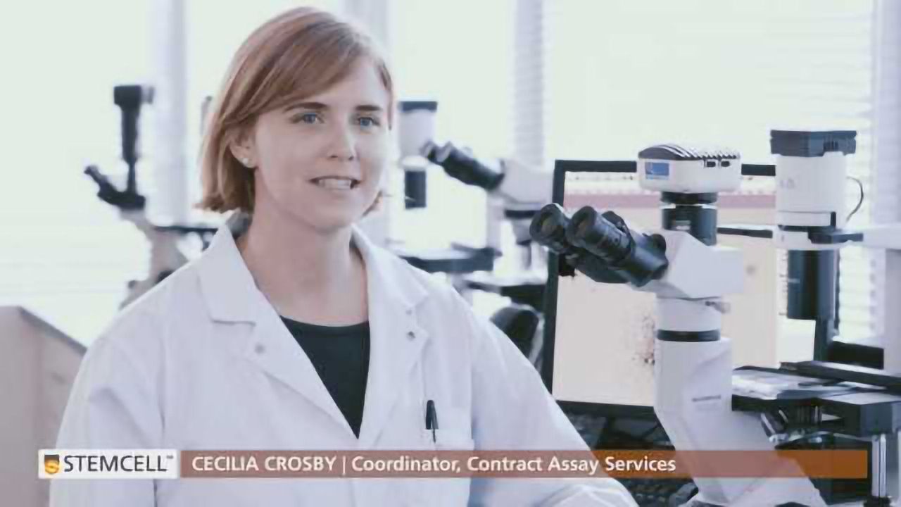 Contract Assay Services at STEMCELL Technologies Inc.