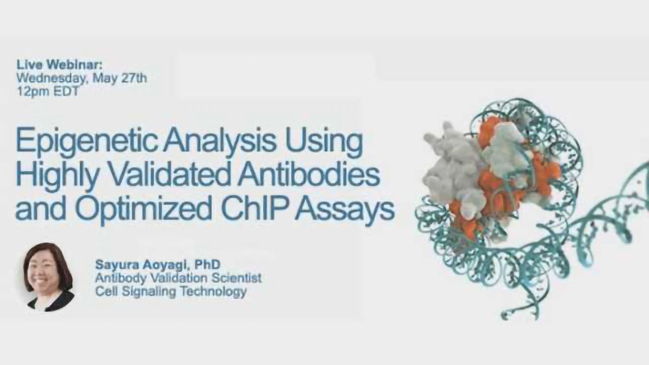 Epigenetic Analysis Using Highly Validated Antibodies and Optimized ChIP Assays