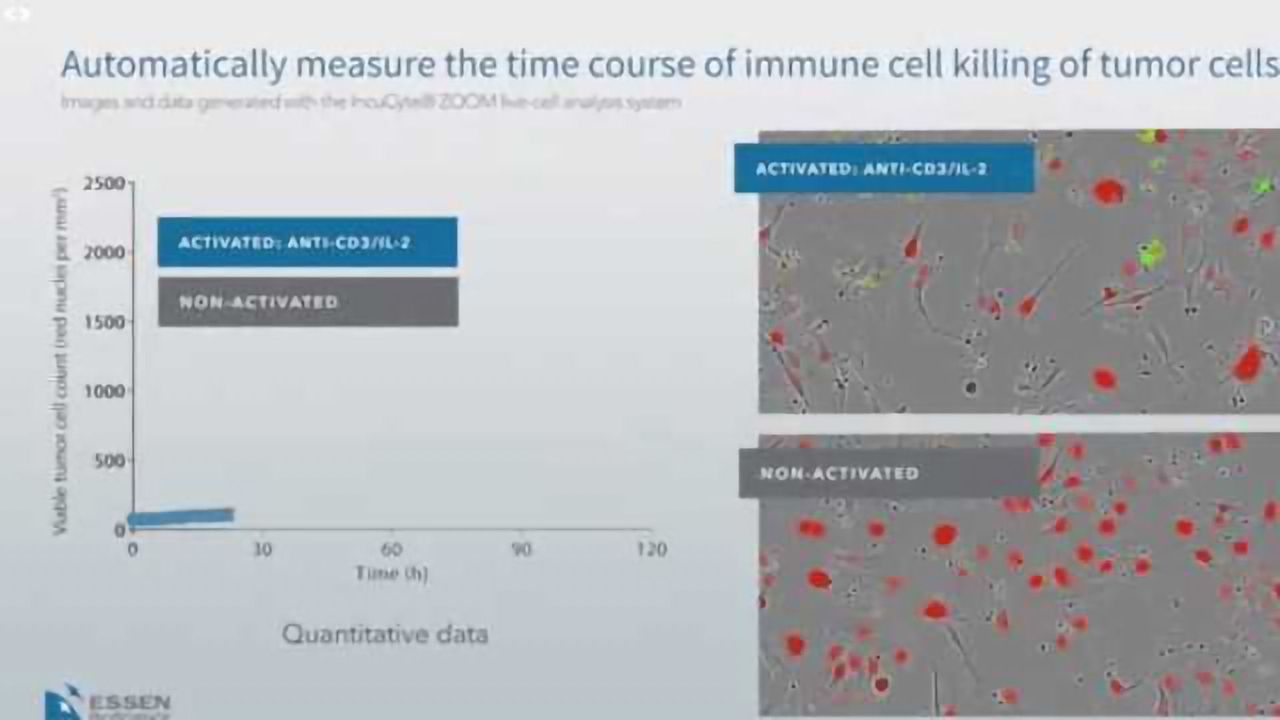 Immune Cell Killing of Tumor Cells | Automatically Measure the Time Course with the IncuCyte® System