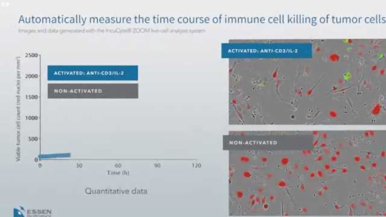 免疫细胞杀死肿瘤细胞|使用incucyte®系统自动测量时间课程