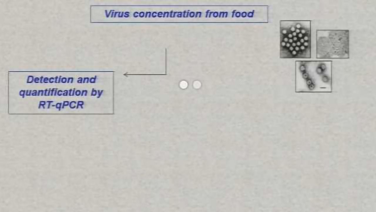 Innovative Methods to Detect Viruses in Food